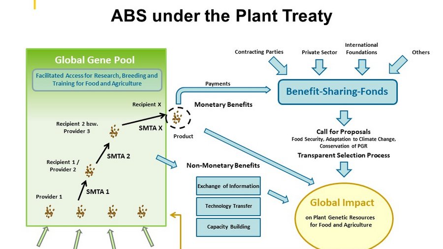 Graphic representation of the multilateral system in the International Seed Treaty. Mouse click leads to enlarged view