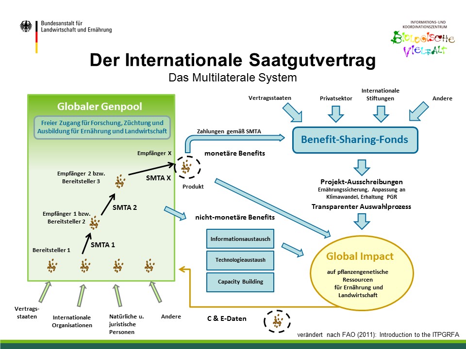 Grafische Darstellung des multilateralen Systems im Internationalen Saatgutvertrag. Mausklick führt zu einer vergrößerten Ansicht 