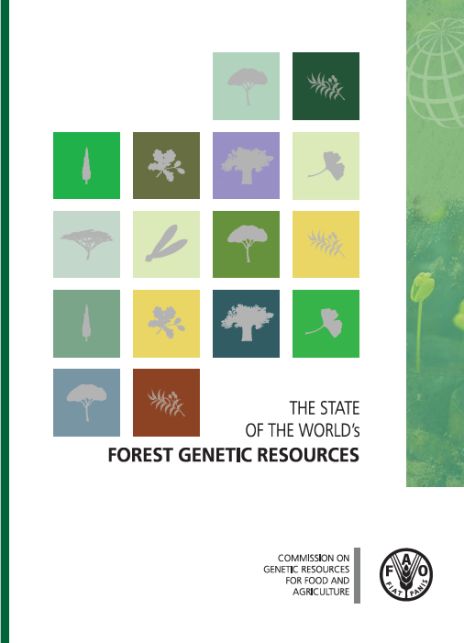 Deckblatt des Weltzustandsberichts über forstgenetische Ressourcen. Mausklick führt zur vergrößerten Ansicht.