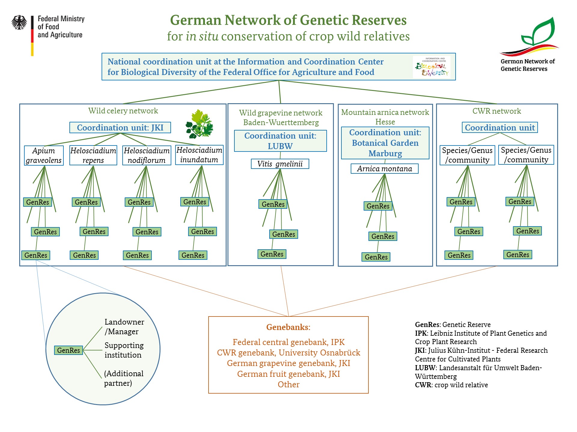 Structure of the Genetic Conservation Areas Network Germany. Mouse click leads to enlarged view.