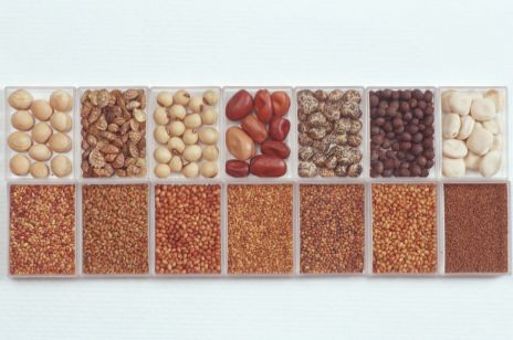 Ein Kunstoffbehälter mit unterschiedlichen Saatgutproben. Mausklick führt zur vergrößerten Ansicht