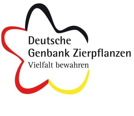 Logo der Deutschen Genbank Zierpflanzen. Mausklick führt zur vergrößerten Ansicht.