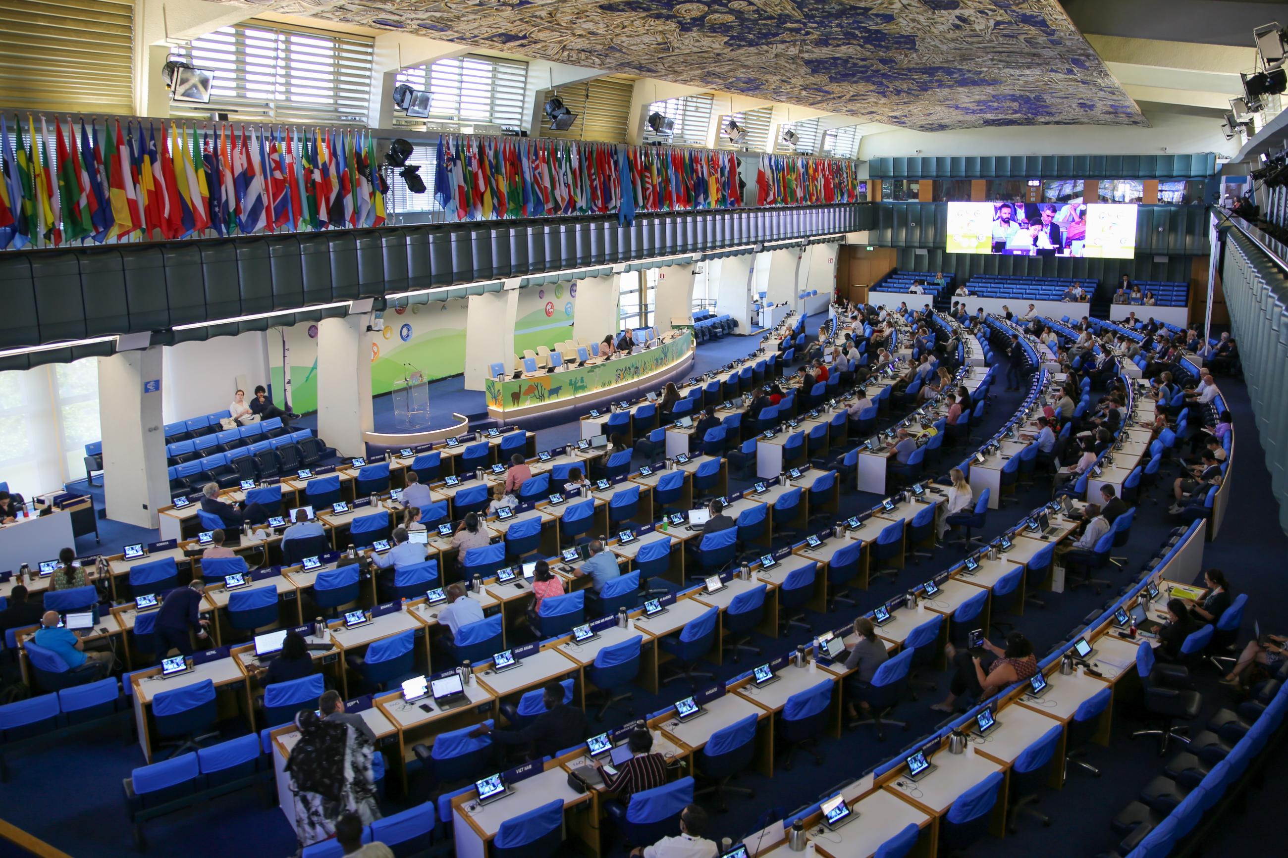 Vogelperspektive des Sitzungssaals der FAO mit blauen Sitzreihen.