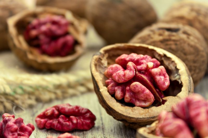 In einer geöffneten Walnussschale liegt eine für Wlanüsse eher ungeöhnliche rötliche Walnusshälfte.