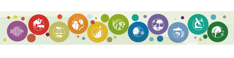 bunte Kreise mit kleinen Icons, die die verschiedenen Arbeitsbereiche der FAO Kommission für genetische Ressourcen zeigen
