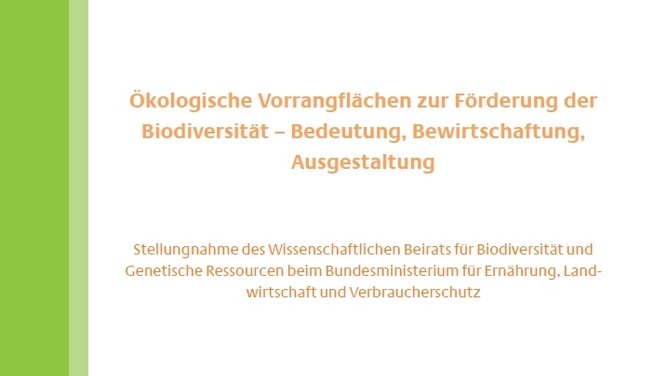 Titelseite Stellungnahme "Ökologische Vorrangflächen zur Förderung der Biodiversität - Bedeutung, Bewirtschaftung, Ausgestaltung"