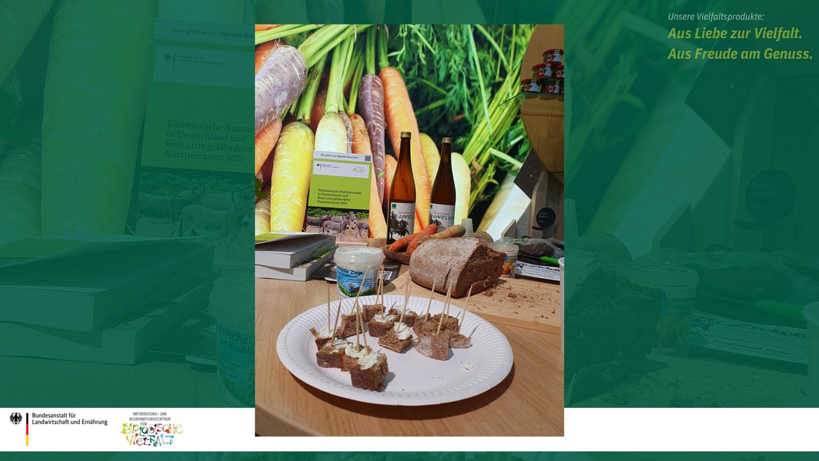 Das Bild zeigt die Verkostung von Frischkäse der Thüringer Wald Ziege auf Champagnerroggen-Brot.