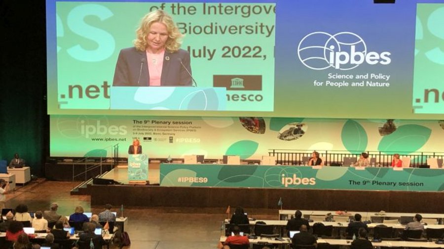 Blick in den Konferenzraum von IPBES in Bonn