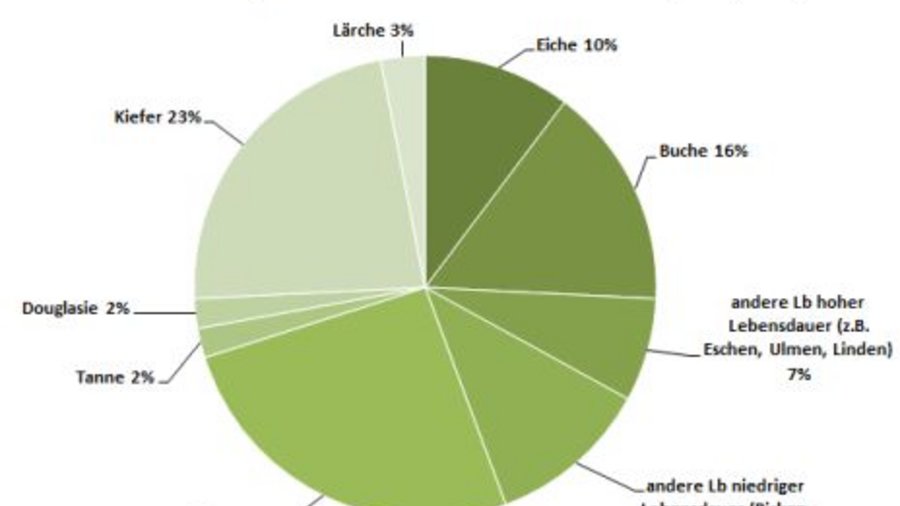 Tortendiagramm zur Baumartenverteilung. Mausklick führt zu einer vergrößerten Ansicht.