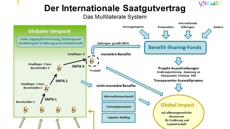 Grafische Darstellung des multilateralen Systems im Internationalen Saatgutvertrag. Mausklick führt zu einer vergrößerten Ansicht 