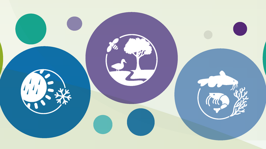 Logo: Commission on genetic ressources for food and agriculture.