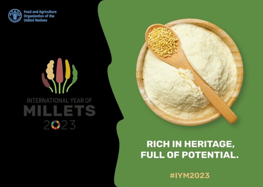 Das Bild zeigt ein Poster des internationalen Jahres der Hirse. Links das Logo der FAO und rechts Hirse in einer Holzschüssel mit Holzlöffel.Mausklick führt zur vergrößerten Ansicht