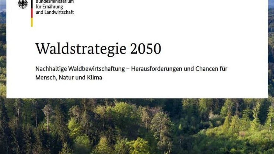 Titelseite Waldstrategie