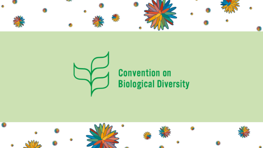 Logo der Konvention für biologische Vielfalt
