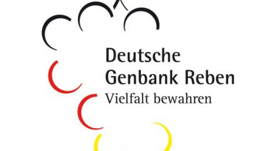 Logo DRG. Mausklick führt zur vergrößerten Ansicht.