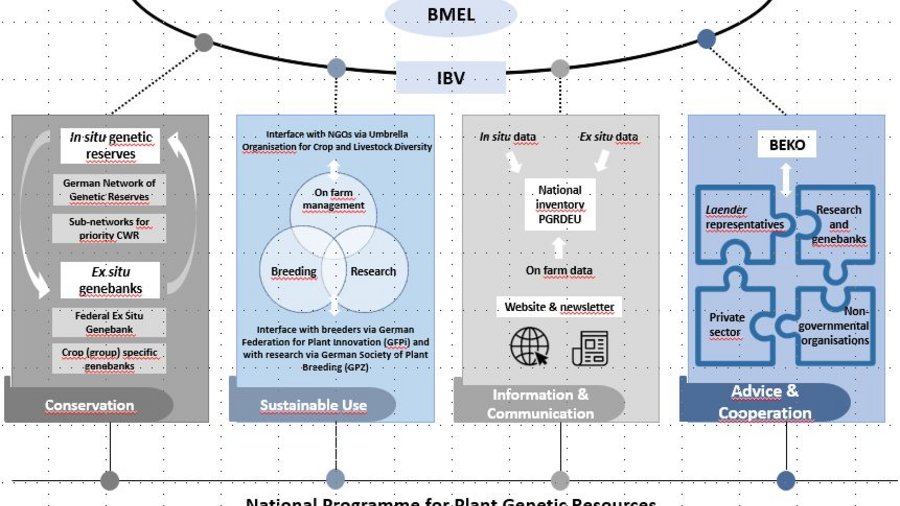 Illustration of the conservation structure for plant genetic resources in Germany. Mouse click leads to enlarged view.