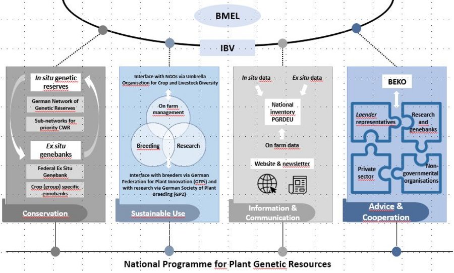 Illustration of the conservation structure for plant genetic resources in Germany. Mouse click leads to enlarged view.