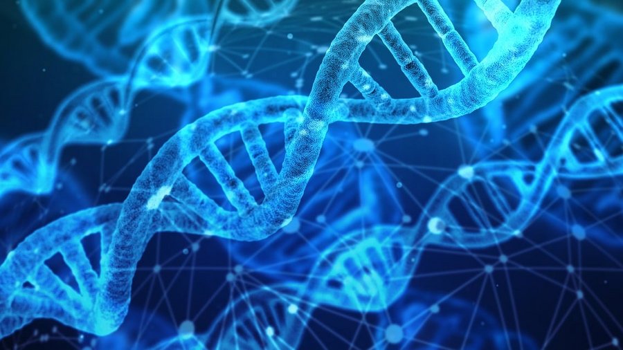 Das Bild zeigt eine halbtransparent, bläulich schimmernde DNA-Helix vor blauschwarzem Hintergrund. 