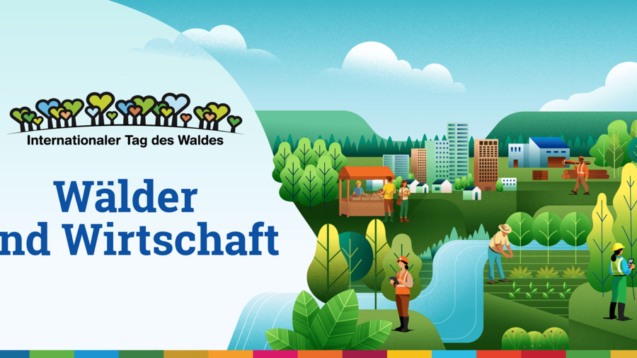 Das Bild zeigt links das Motto des Internationalen Tag des Waldes 2026 und rechts eine grafische Darstellung der Leistungen von Wäldern für die Wirtschaft.