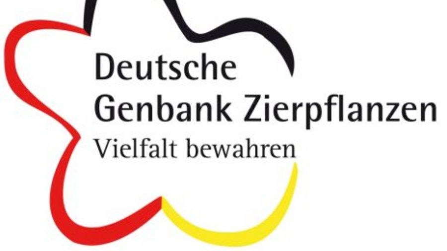 Logo of the German Genebank for Ornamental Plants. Click leads to enlarged view.