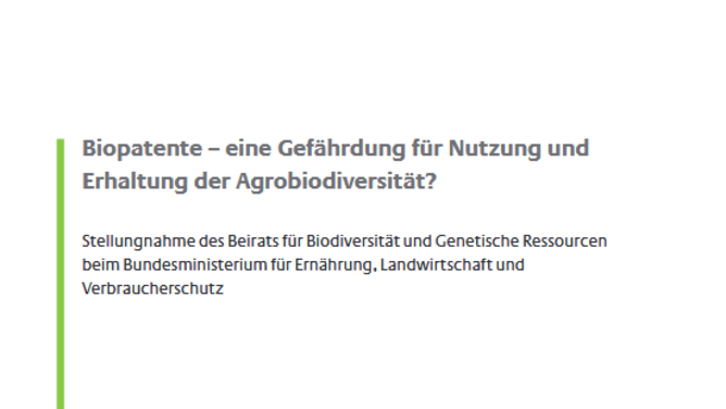 Titelseite Stellungnahme "Biopatente - eine Gefährung für Nutzung und Erhaltung der Agrobiodiversität?"