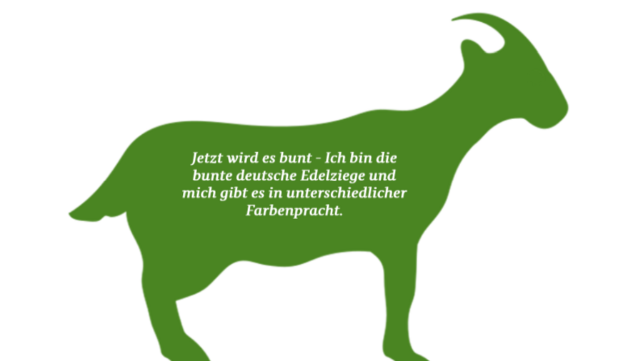 Sillhouette einer Ziege mit grüner Füllung