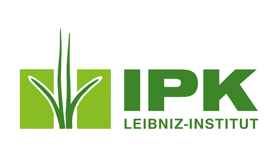 Logo mit Schriftzug des IPK in gründer Farbe