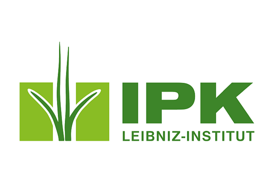 Logo mit Schriftzug des IPK in gründer Farbe