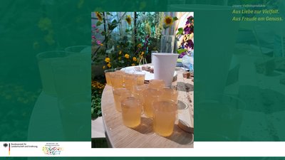 Das Bild zeigt die Verkostung von sortenreinem Apfelsaft Kaiser Wilhelm, Rheinischer Bohnapfel und Rote Sternrenette.