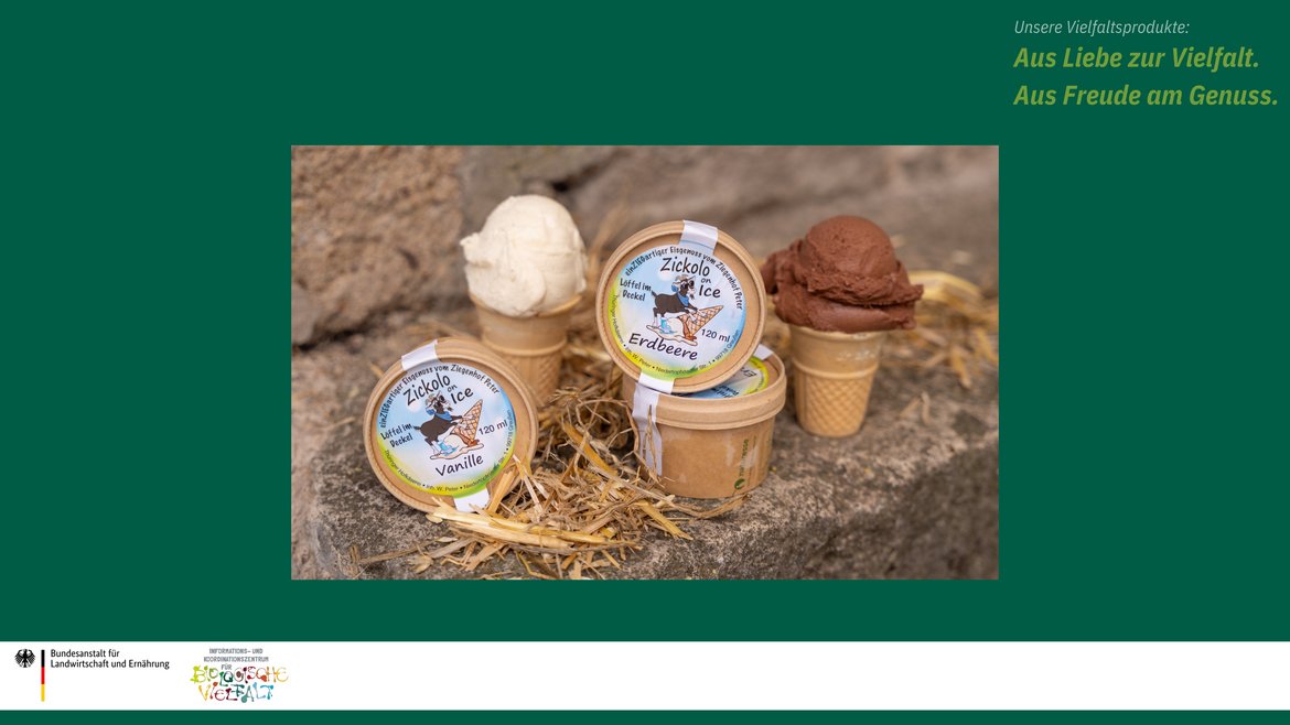 Das Bild zeigt Vanille- und Schokoeis in Eishörnchen auf Basis von Ziegenmilch.