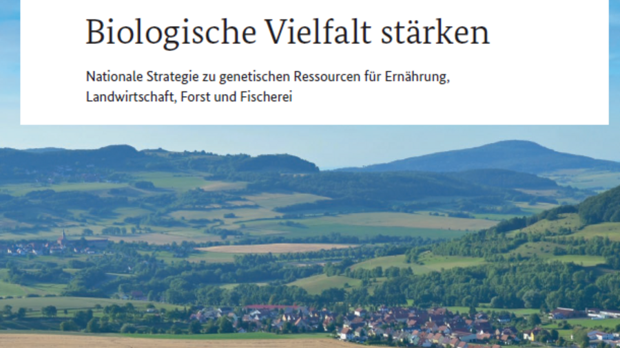 Titelseite Nationale Strategie zu genetischen Ressourcen