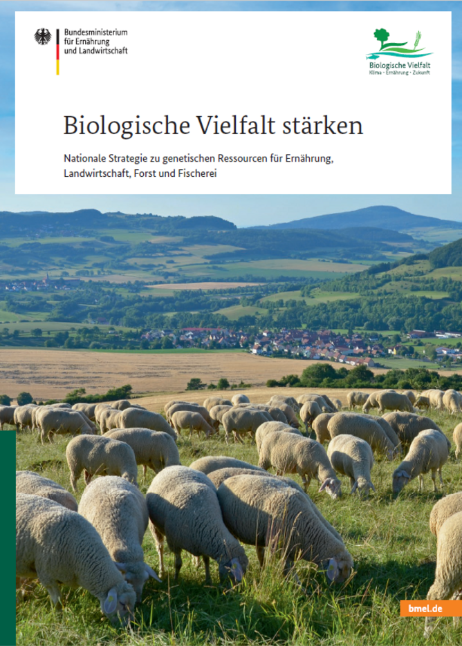 Titelseite Nationale Strategie zu genetischen Ressourcen