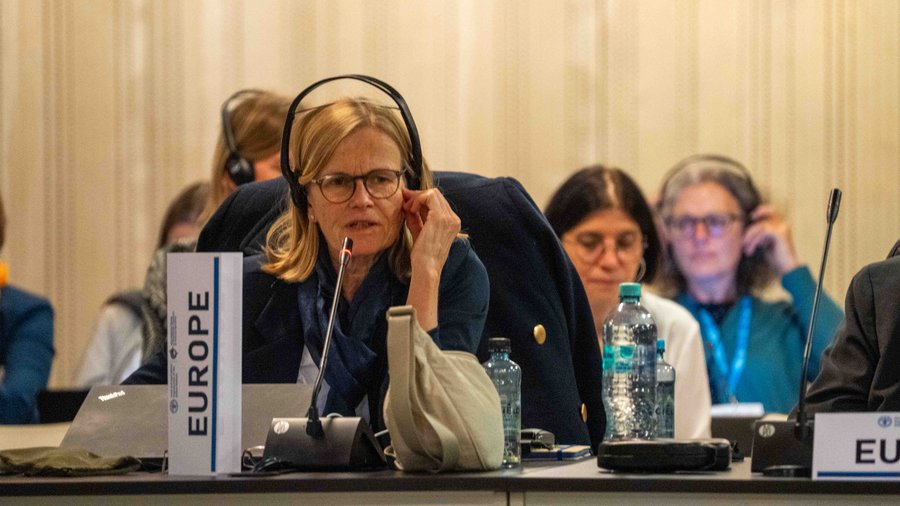 Eine blonde Frau sitzt an einem Verhandlungstisch und spricht in ein Mikro vor sich. Vor ihr steht ein Schild auf dem Europa steht.
