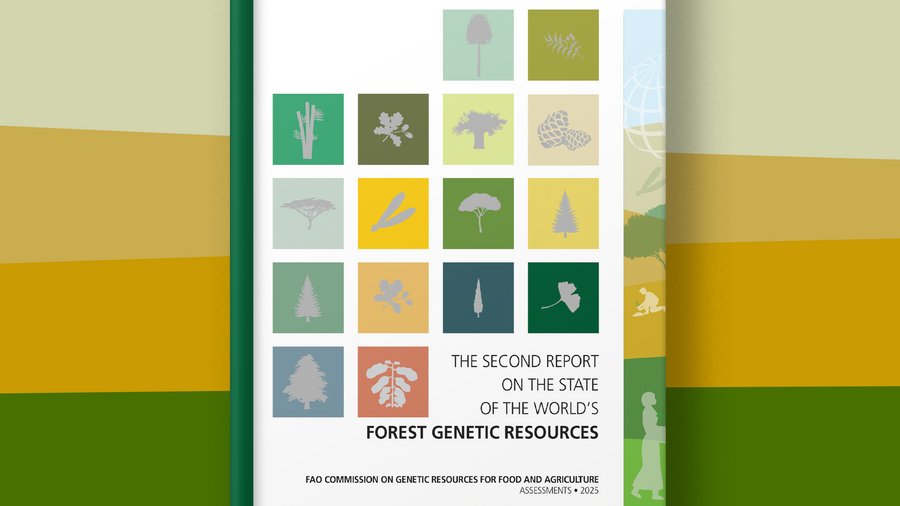 Titelseite Zweiter Weltzustandsbericht Forstgenetische Ressourcen