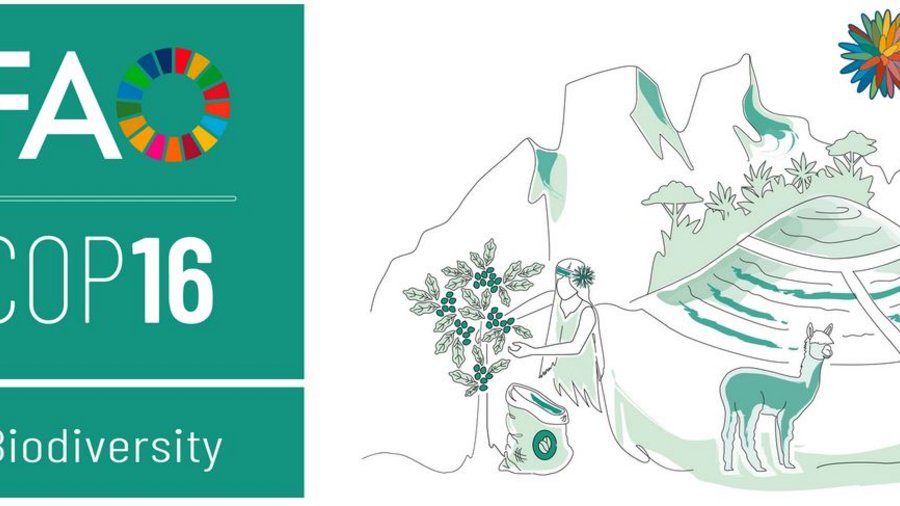 Logos der FAO und der CBD COP 16 Konferenz sowie eine gezeichnete Gebirgslandschaft mit verschiedenen Elementen der Biodiversität. 