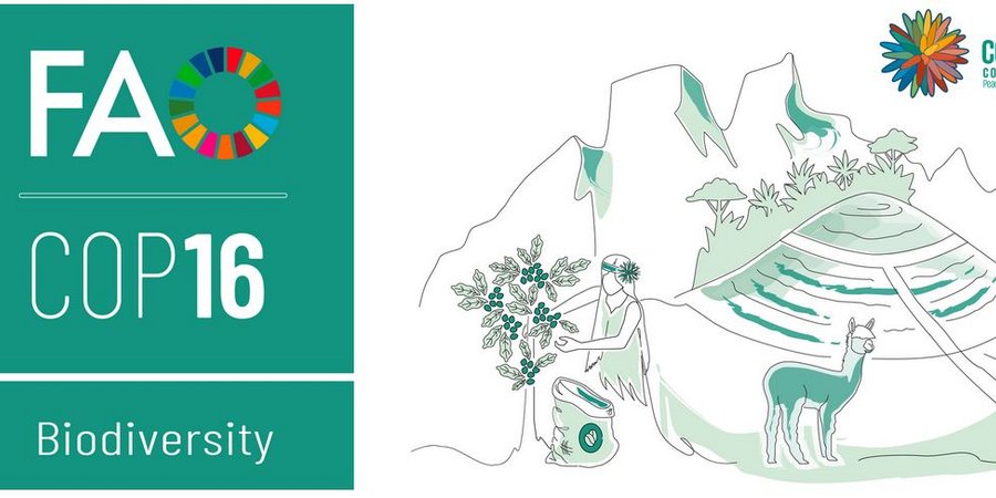 Logos der FAO und der CBD COP 16 Konferenz sowie eine gezeichnete Gebirgslandschaft mit verschiedenen Elementen der Biodiversität.