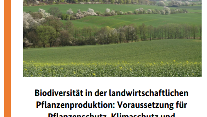 Titelbild Stellungnahme "Biodiversität in der landwirtschaftlichen Pflanzenproduktion: Voraussetzung für Pflanzenschutz, Klimaschutz und Produktivität"