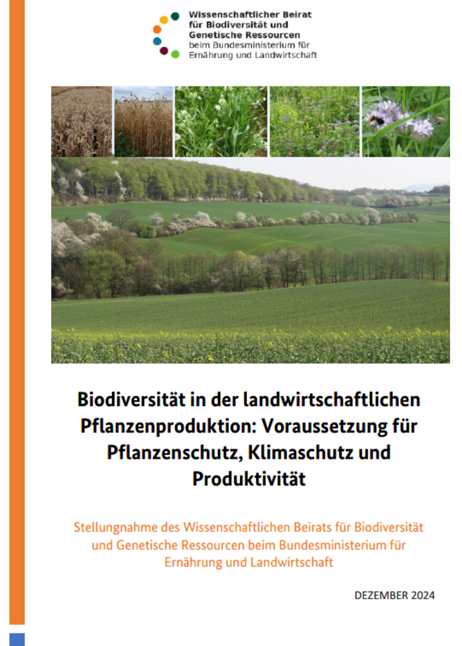 Titelbild Stellungnahme "Biodiversität in der landwirtschaftlichen Pflanzenproduktion: Voraussetzung für Pflanzenschutz, Klimaschutz und Produktivität"