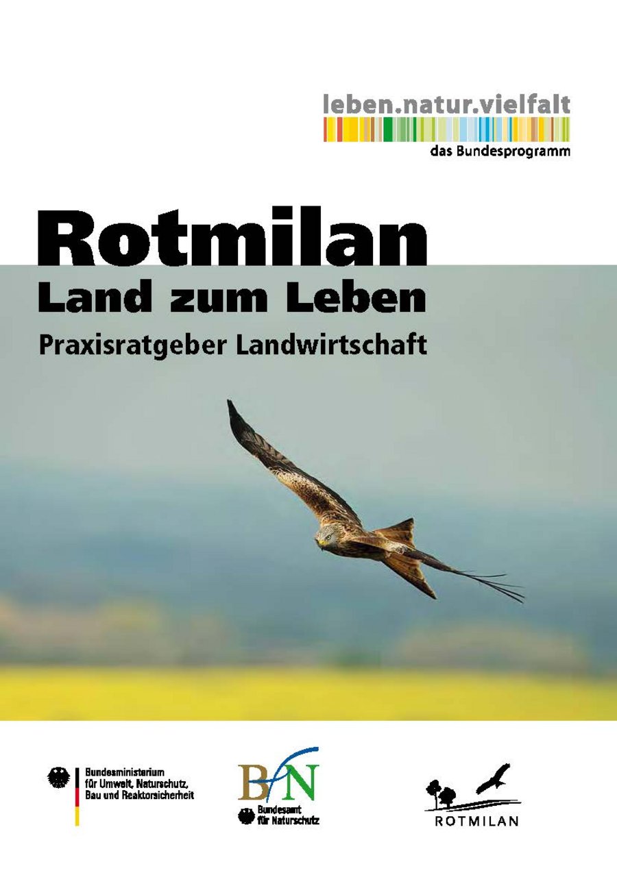 Titelseite Rotmilan Land zum Leben. Mausklick öffnet PDF Datei im neuen Fenster