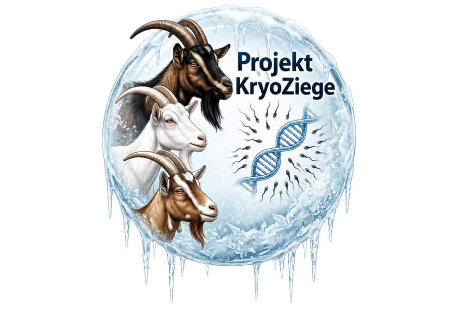 Logo des Projektes KryoZiege.