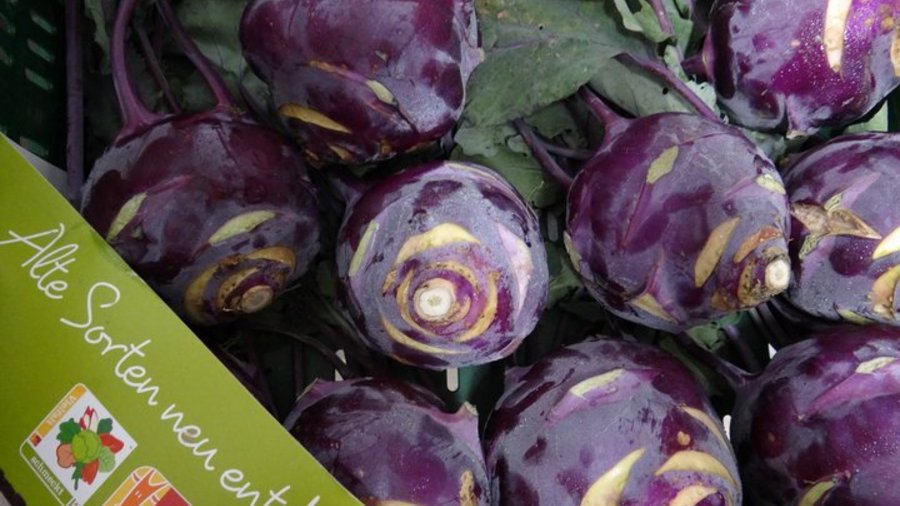 Einfach, aber wirkungsvoll: Kistenbanderolen heben das Gemüse, hier den Kohlrabi, hervor. Mausklick führt zur vergrößerten Ansicht