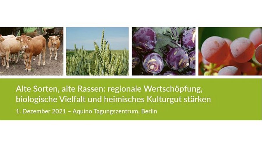 Titelbild des Programms. Zu sehen sind Kälbchen, ein Getreidefeld, lilafarbene Kohlrabi und rote Trauben.. Mausklick führt zur vergrößerten Ansicht.