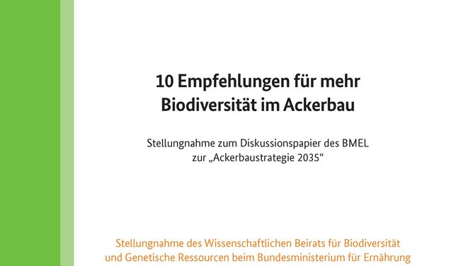 Titelseite Stellungnahme 10 Empfehlungen für mehr Biodiversität im Ackerbau