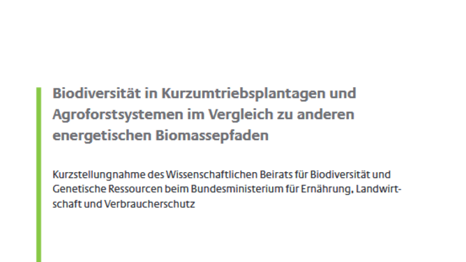 Titelseite Stellungnahme "Biodiversität in Kurzumtriebsplantagen und Agroforstsystemen im Vergleich zu anderen energetischen Biomassepfaden"
