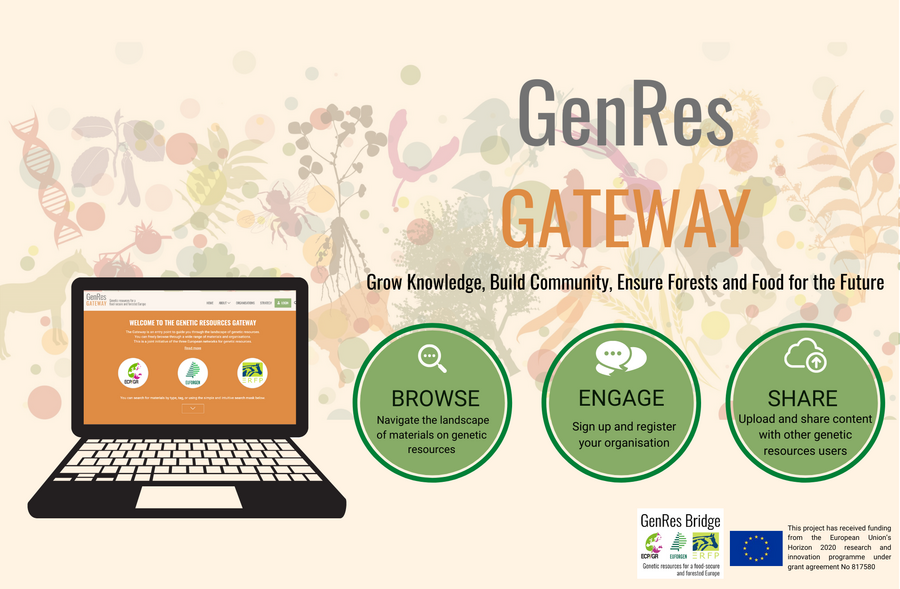 Infographik des Informationsportals Genres Gateway mit einem Laptop und den Schlüsselbegriffen suchen, mitmachen und teilen. 
