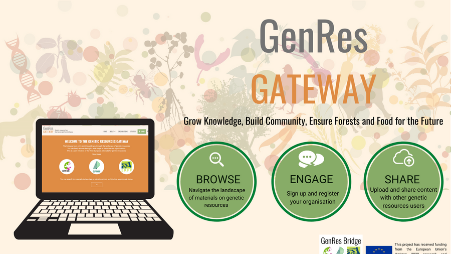 infographic of the information portal genres gateway showing a laptop and the keywords browse, engage and share