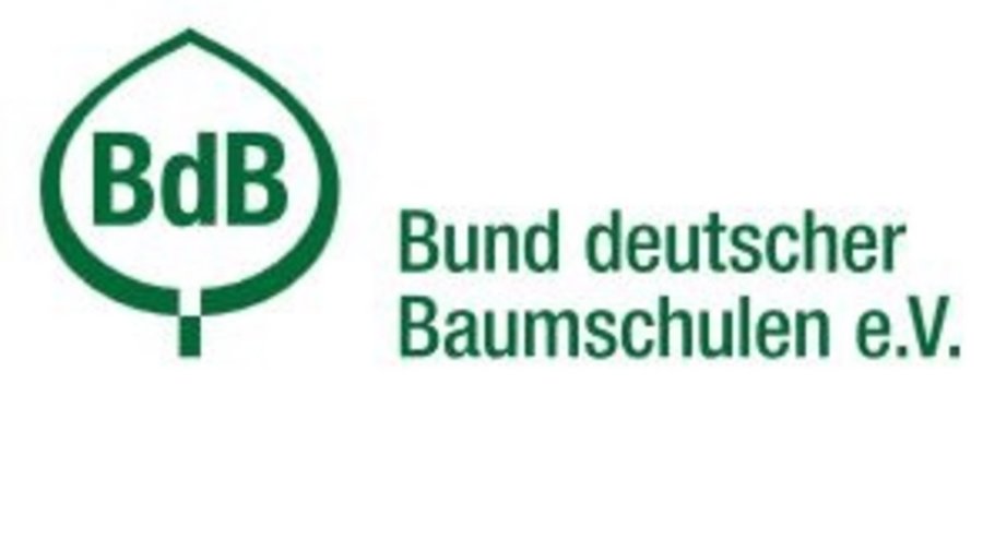 Logo BDB