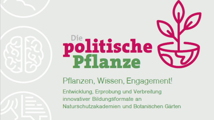 Das Bild zeigt die graue Titelseite der Broschüre mit dem Schriftzug "Die politische Pflanze" in Rot und Grün.