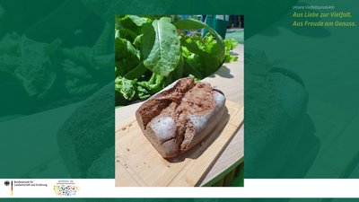 Das Bild zeigt einen Laib Brot aus der alten Getreidesorte Champagnerroggen.