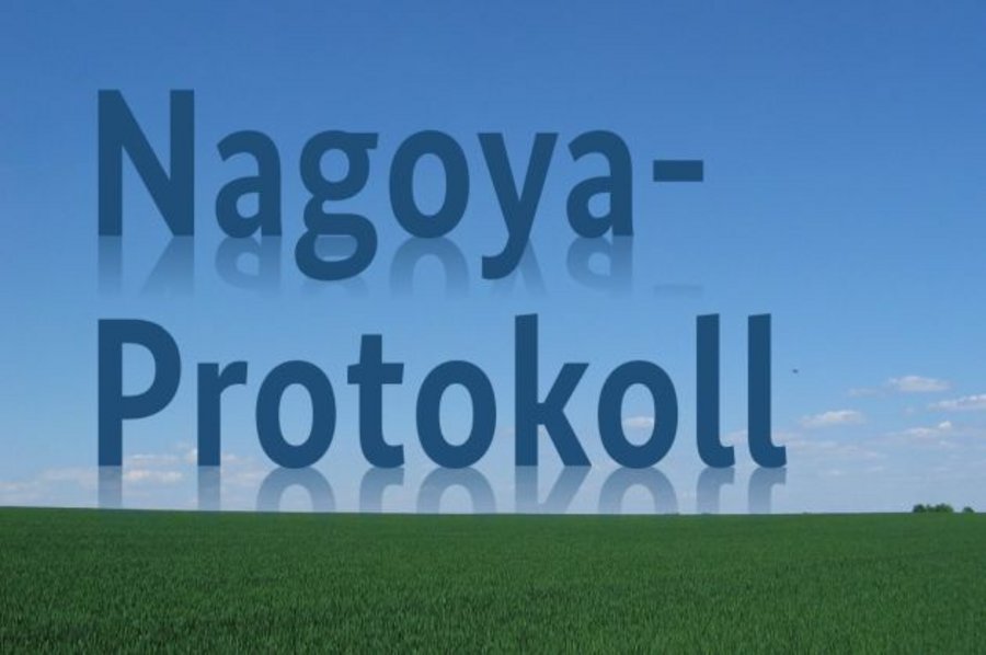 [Translate to en:] Das Wort "Nagoya-Protokoll" auf einem Lanschaftsbild